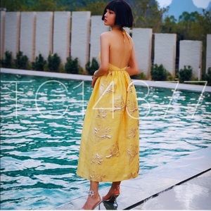 GORGEOUS ZARA NWT LIMITED EDITION Stretchy Dress